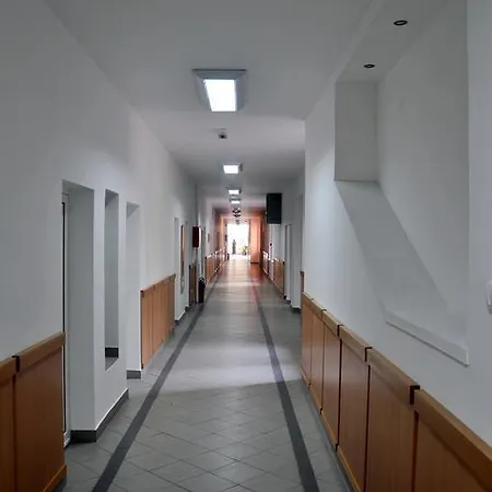 Гостевой дом Karadjordje